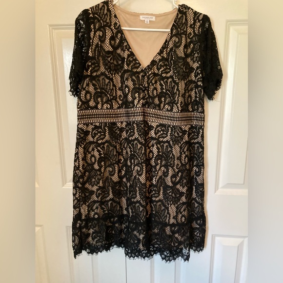 Chic Soul | Dresses | Black Lace Chic Soul Dress X | Poshmark